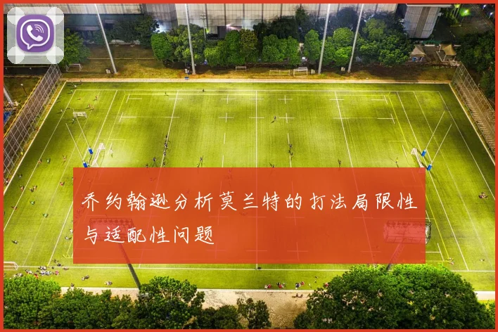 乔约翰逊分析莫兰特的打法局限性与适配性问题
